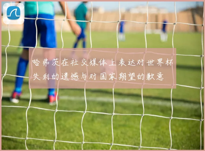哈弗茨在社交媒体上表达对世界杯失利的遗憾与对国家期望的歉意