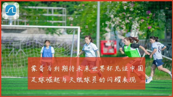 蒙哥马利期待未来世界杯见证中国足球崛起与天赋球员的闪耀表现